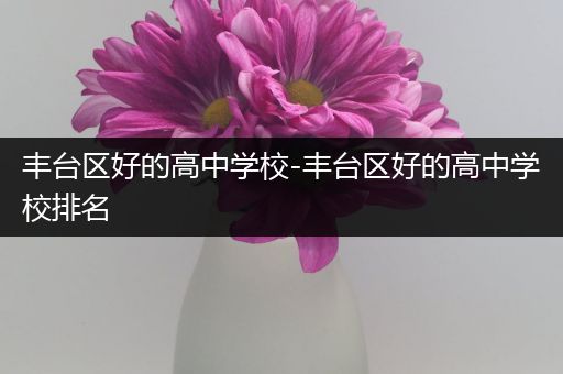 丰台区好的高中学校-丰台区好的高中学校排名