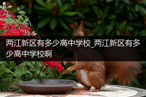 两江新区有多少高中学校_两江新区有多少高中学校啊