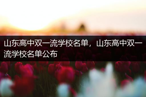 山东高中双一流学校名单，山东高中双一流学校名单公布