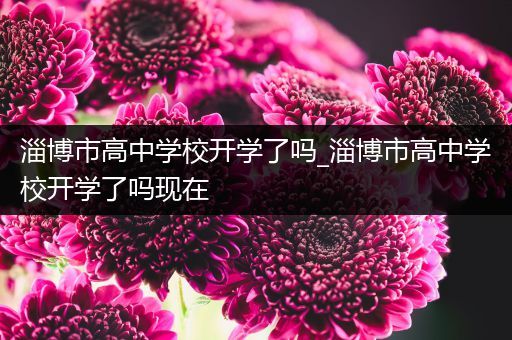 淄博市高中学校开学了吗_淄博市高中学校开学了吗现在