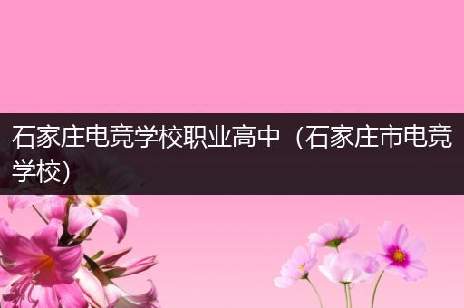 石家庄电竞学校职业高中（石家庄市电竞学校）