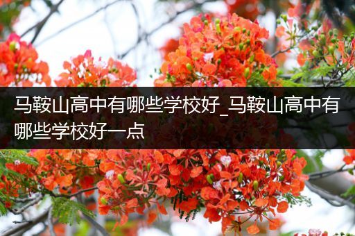 马鞍山高中有哪些学校好_马鞍山高中有哪些学校好一点