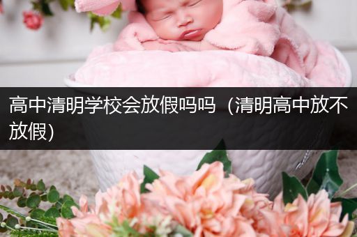 高中清明学校会放假吗吗（清明高中放不放假）