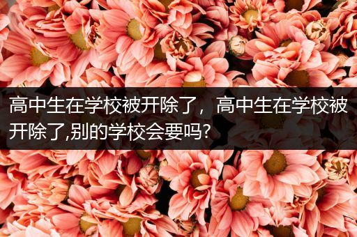 高中生在学校被开除了，高中生在学校被开除了,别的学校会要吗?