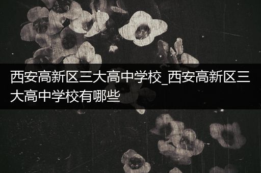 西安高新区三大高中学校_西安高新区三大高中学校有哪些