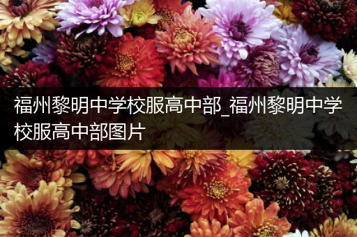 福州黎明中学校服高中部_福州黎明中学校服高中部图片