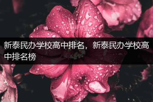 新泰民办学校高中排名，新泰民办学校高中排名榜