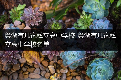 巢湖有几家私立高中学校_巢湖有几家私立高中学校名单