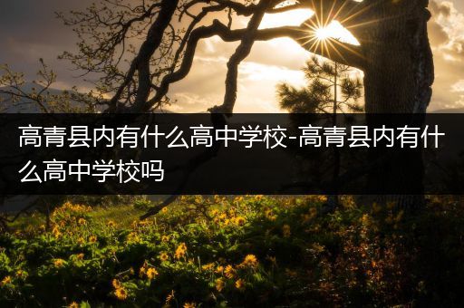 高青县内有什么高中学校-高青县内有什么高中学校吗