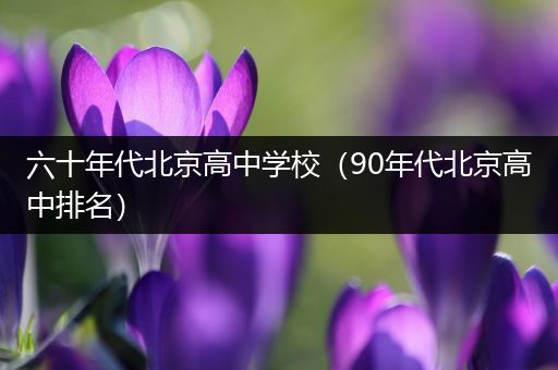 六十年代北京高中学校（90年代北京高中排名）