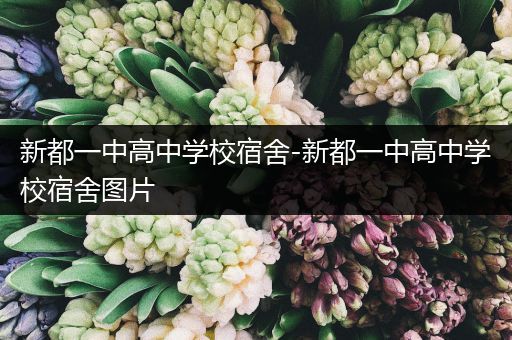 新都一中高中学校宿舍-新都一中高中学校宿舍图片