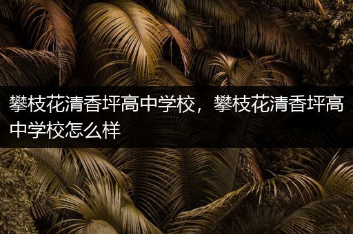 攀枝花清香坪高中学校，攀枝花清香坪高中学校怎么样