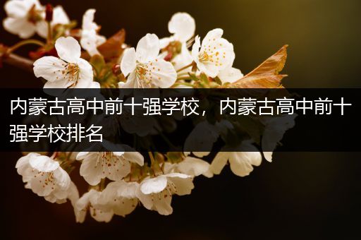 内蒙古高中前十强学校，内蒙古高中前十强学校排名