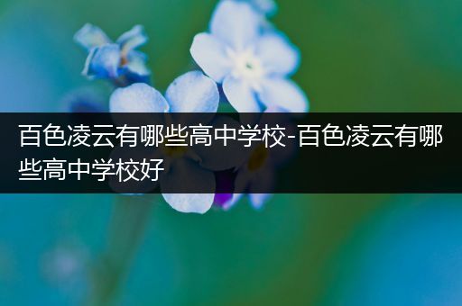 百色凌云有哪些高中学校-百色凌云有哪些高中学校好