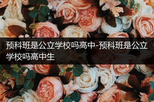 预科班是公立学校吗高中-预科班是公立学校吗高中生