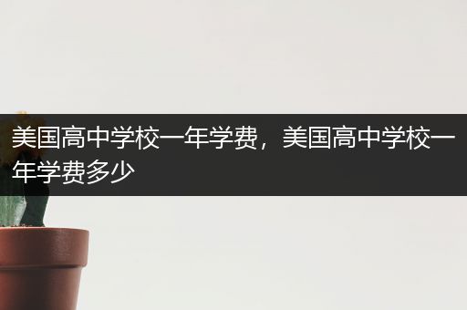 美国高中学校一年学费，美国高中学校一年学费多少