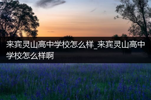 来宾灵山高中学校怎么样_来宾灵山高中学校怎么样啊