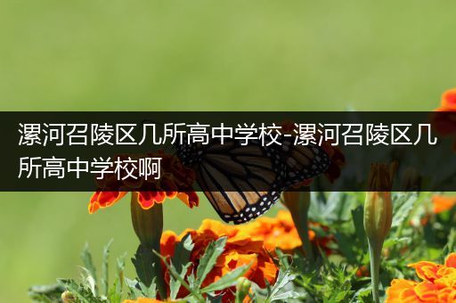 漯河召陵区几所高中学校-漯河召陵区几所高中学校啊