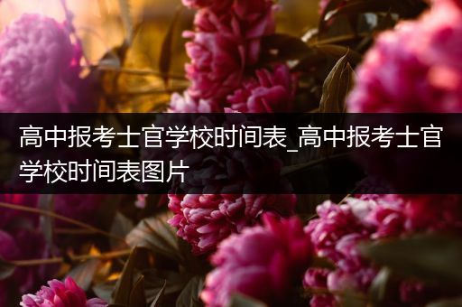 高中报考士官学校时间表_高中报考士官学校时间表图片
