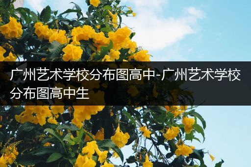 广州艺术学校分布图高中-广州艺术学校分布图高中生