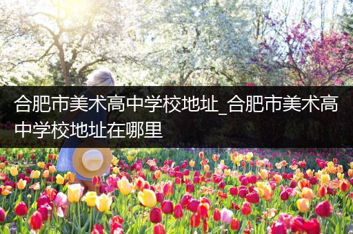 合肥市美术高中学校地址_合肥市美术高中学校地址在哪里