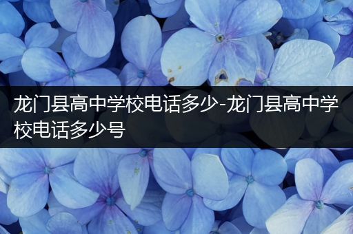 龙门县高中学校电话多少-龙门县高中学校电话多少号