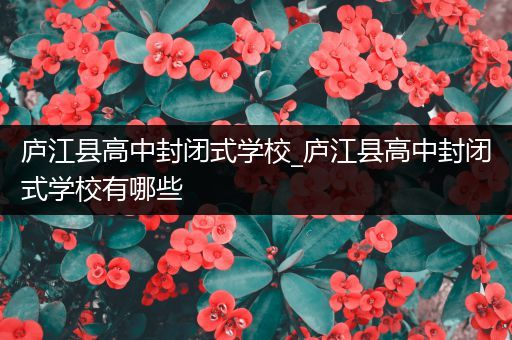 庐江县高中封闭式学校_庐江县高中封闭式学校有哪些