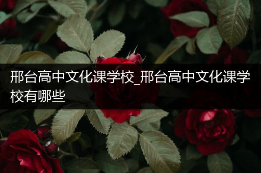邢台高中文化课学校_邢台高中文化课学校有哪些