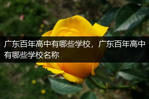 广东百年高中有哪些学校，广东百年高中有哪些学校名称