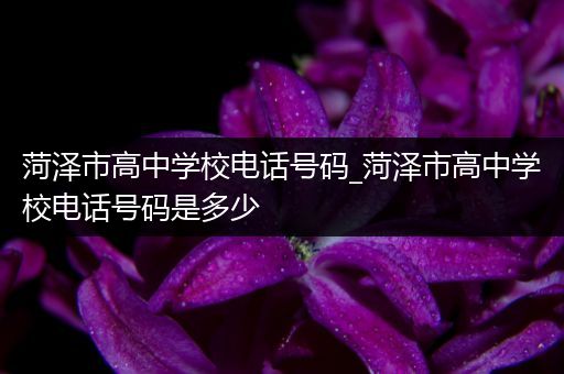 菏泽市高中学校电话号码_菏泽市高中学校电话号码是多少