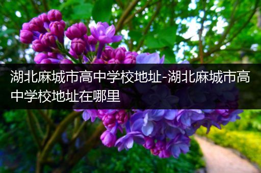 湖北麻城市高中学校地址-湖北麻城市高中学校地址在哪里