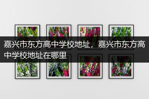 嘉兴市东方高中学校地址，嘉兴市东方高中学校地址在哪里