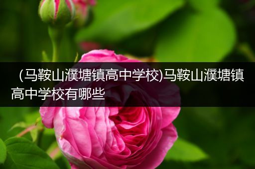 （马鞍山濮塘镇高中学校)马鞍山濮塘镇高中学校有哪些