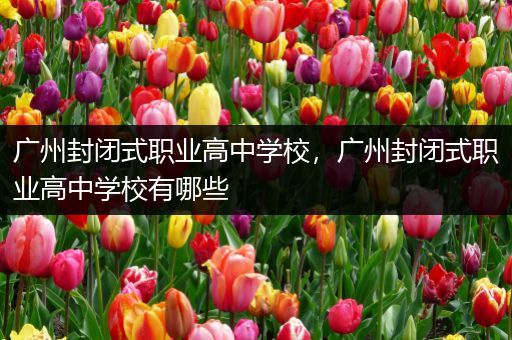广州封闭式职业高中学校，广州封闭式职业高中学校有哪些