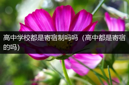 高中学校都是寄宿制吗吗（高中都是寄宿的吗）