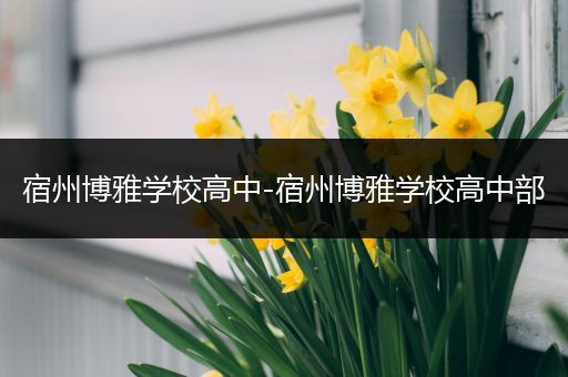 宿州博雅学校高中-宿州博雅学校高中部