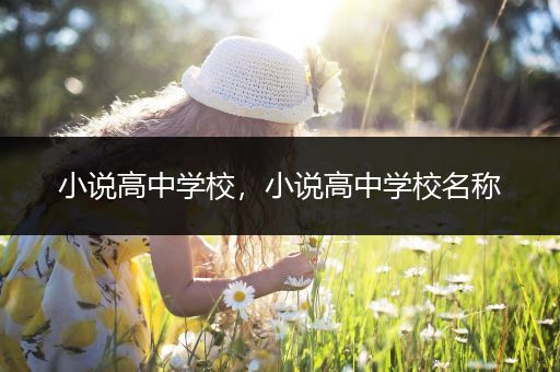 小说高中学校，小说高中学校名称