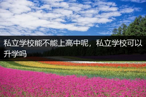 私立学校能不能上高中呢，私立学校可以升学吗