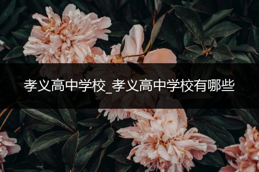 孝义高中学校_孝义高中学校有哪些