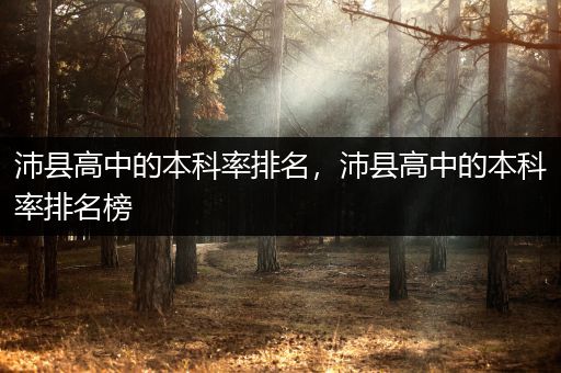 沛县高中的本科率排名，沛县高中的本科率排名榜