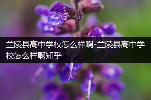 兰陵县高中学校怎么样啊-兰陵县高中学校怎么样啊知乎
