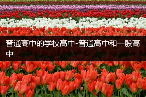普通高中的学校高中-普通高中和一般高中