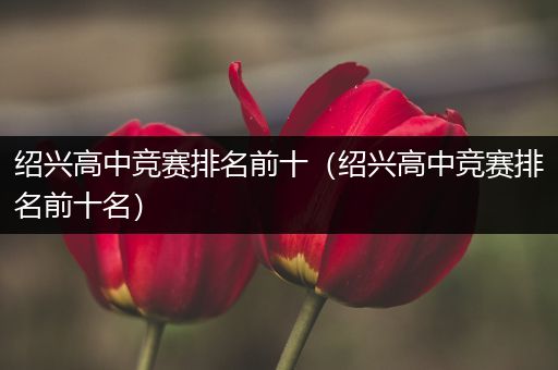 绍兴高中竞赛排名前十（绍兴高中竞赛排名前十名）