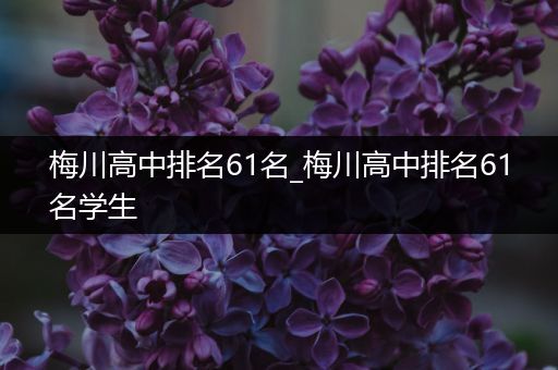 梅川高中排名61名_梅川高中排名61名学生