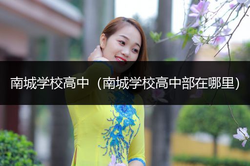 南城学校高中（南城学校高中部在哪里）