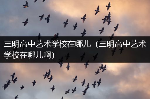 三明高中艺术学校在哪儿（三明高中艺术学校在哪儿啊）
