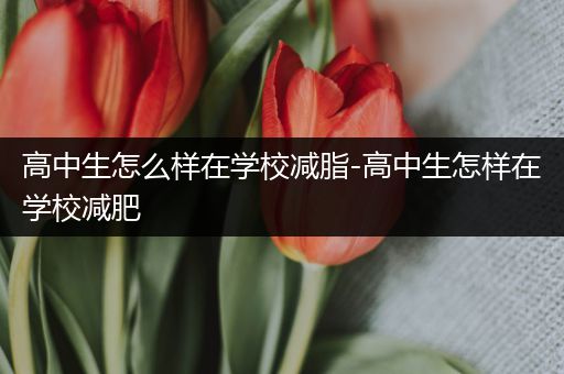 高中生怎么样在学校减脂-高中生怎样在学校减肥