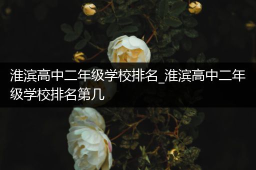 淮滨高中二年级学校排名_淮滨高中二年级学校排名第几