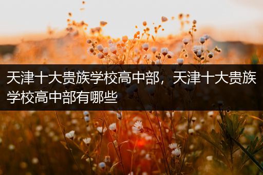 天津十大贵族学校高中部，天津十大贵族学校高中部有哪些