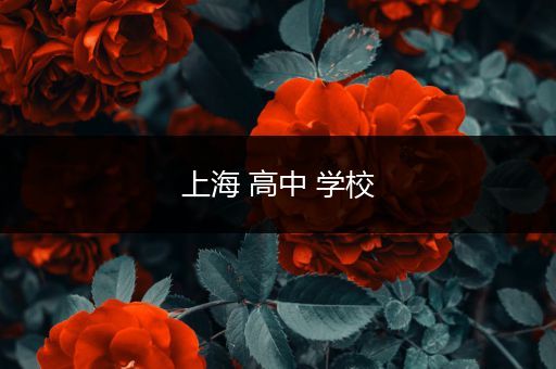 上海 高中 学校